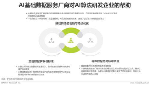 2024年中國AI基礎數(shù)據服務研究報告 聚焦工業(yè)互聯(lián)網數(shù)據服務